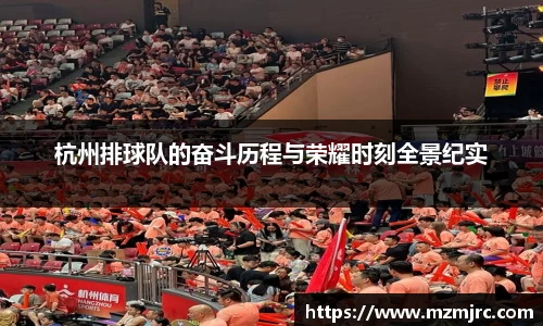 杭州排球队的奋斗历程与荣耀时刻全景纪实